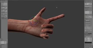 Rigged Hands – Blender 3d Model Download