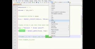 PHP Tutorial – Connecting to MYSQL, Getting Data and Displaying in a Web Page