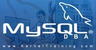 MySQL Database DBA Training Tutorial for Beginners