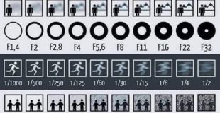 best lesson in photography for beginners – entire course in one image