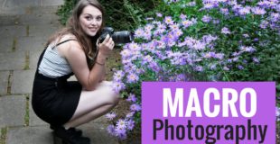 MACRO PHOTOGRAPHY – tips & tutorial