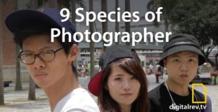 9 Species of Amateur Photographer