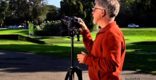 Photography tutorial: Using Infrared filters | lynda.com