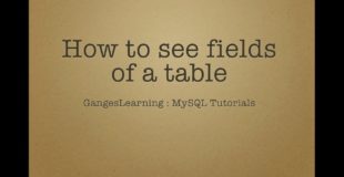 MySQL Tutorials: How to see all fields of a table