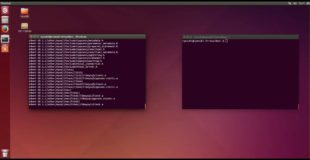 Tutorial – Setup a ddrace server with MySQL support (See description)