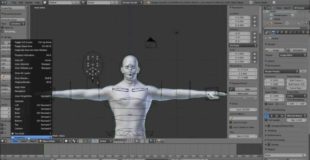 Blender 3D Make Human Tutorial: Blender 2.6 Facial Animation Basics