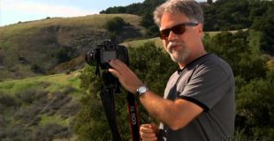Photography tutorial: How to shoot depth of field | lynda.com