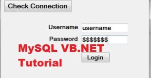 MySQL VB.NET Tutorial 4 :  Password Protection using Textbox