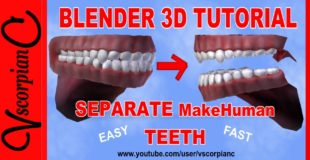 Blender 3D Tutorial – How to Separate MakeHuman Teeth for Rigging by VscorpianC
