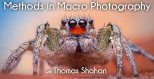 Methods in Macro Photography with Thomas Shahan