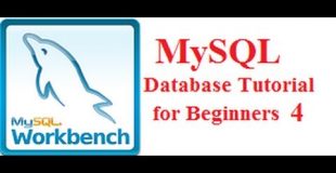 Beginners MYSQL Database Tutorial 4#  MySQL SELECT Statement Query