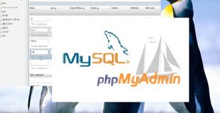 PHP MySQL Tutorial For Beginners |  How To Create a Database Using Wamp Server