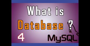 MySQL (RDBMS) video tutorial 04 – What is Database ?