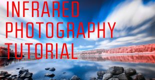How to Shoot Infrared Photography Using an IR Filter