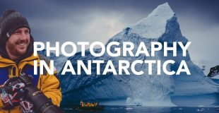 Antarctica Photography Documentary (feat. Matt Damon) | A Photographer In | Taylor Jackson