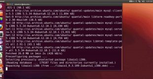 Beginners MYSQL Database Tutorial # How to install MySQL on Ubuntu/Debian Linux