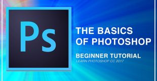 Adobe Photoshop CC Beginner Tutorial: Intro Guide to the Basics (Learn How to use CC 2017)