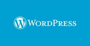 WordPress Tutorial Part 1 : Installing WordPress With Cpanel and phpMyadmin | MySQL Database