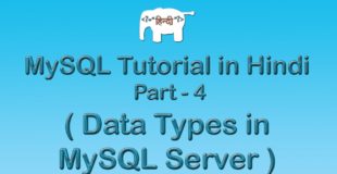 MySQL Tutorial For Beginners in Hindi ( Datatypes in MySQL Server ) | Part-4