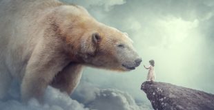 Big Bear – Photoshop Manipulation Tutorial