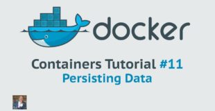Docker Container Tutorial #11 Persisting Data