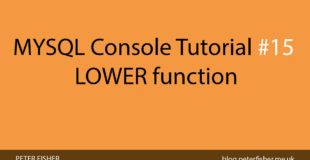 MYSQL Console Tutorial #15 Using the LOWER function in MYSQL