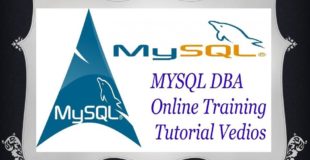MySQL Database Tutorial   30   NOT NULL   AUTO INCREMENT