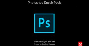Photoshop Sneak Peek: Select Subject in Photoshop CC