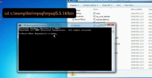Setting the MySQL Password in WAMP – Lucid Nerd Tutorial