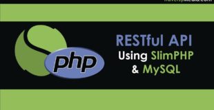 RESTful API With PHP & MySQL