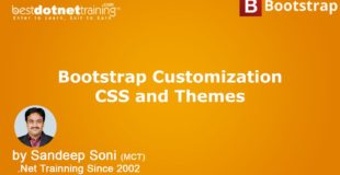 Bootstrap Tutorial – Customize CSS and Themes in Bootstrap