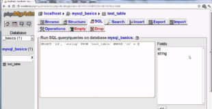 [MySQL Tutorial]: Basic Queries (Select, Update, Delete, Insert)