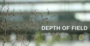 DSLR Tutorial: Depth of Field