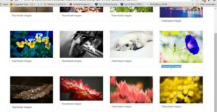 {How2Create} Bootstrap Responsive Portfolio Gallery, Zoom Effect, Image View With Use FancyBox