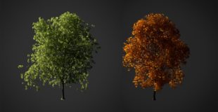 How to Create a Realistic Tree in Blender 3D – Part 1