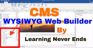 CMS Tools in WYSIWYG Web Builder Complete Tutorial CMS View CMS Menu CMS Search CMS Label
