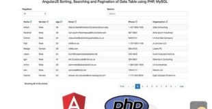 AngularJS Sorting, Searching and Pagination of Data Table using PHP & MySQL