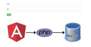 Insert Data Into Database using AngularJS with PHP Mysql ~ SoftAOX