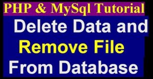 How To Delete Data From database and Remove Pic From Folder – Php Mysql Project Tutorial – part 17