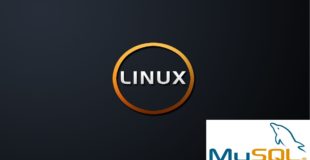 [Tutorial/German] MySQL Datenbank installieren auf V-/Root Server