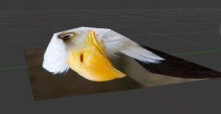 how make a 2D image into 3D form (eagle) : blender 3d v2.76 : spoken tutorial