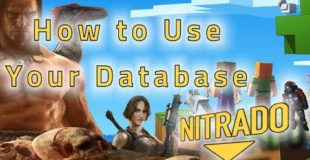 Support Tutorials: 4. How to use your database with Nitrado