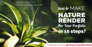 Blender Tutorial: How to Make a Nature Render for Your Portfolio?