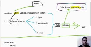part 1 Database MySQL class 12 information practices