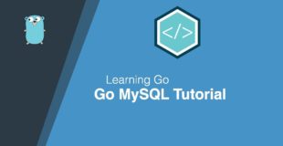 Go MySQL Beginners Tutorial
