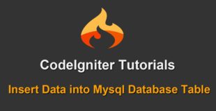 6 – Codeigniter Tutorials – Insert Data into Mysql Database Table