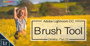 Lightroom 6 tutorial – How to use the Lightroom Brush Tool