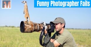 Ultimate Funny Photographer Fails Compilation – Crazy Photography Part 1