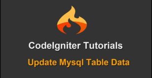 9 – Codeigniter Tutorials – Update Mysql Table Data
