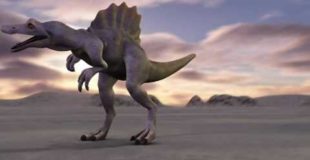 Spinosaurus 3D Animation Blender 2.5